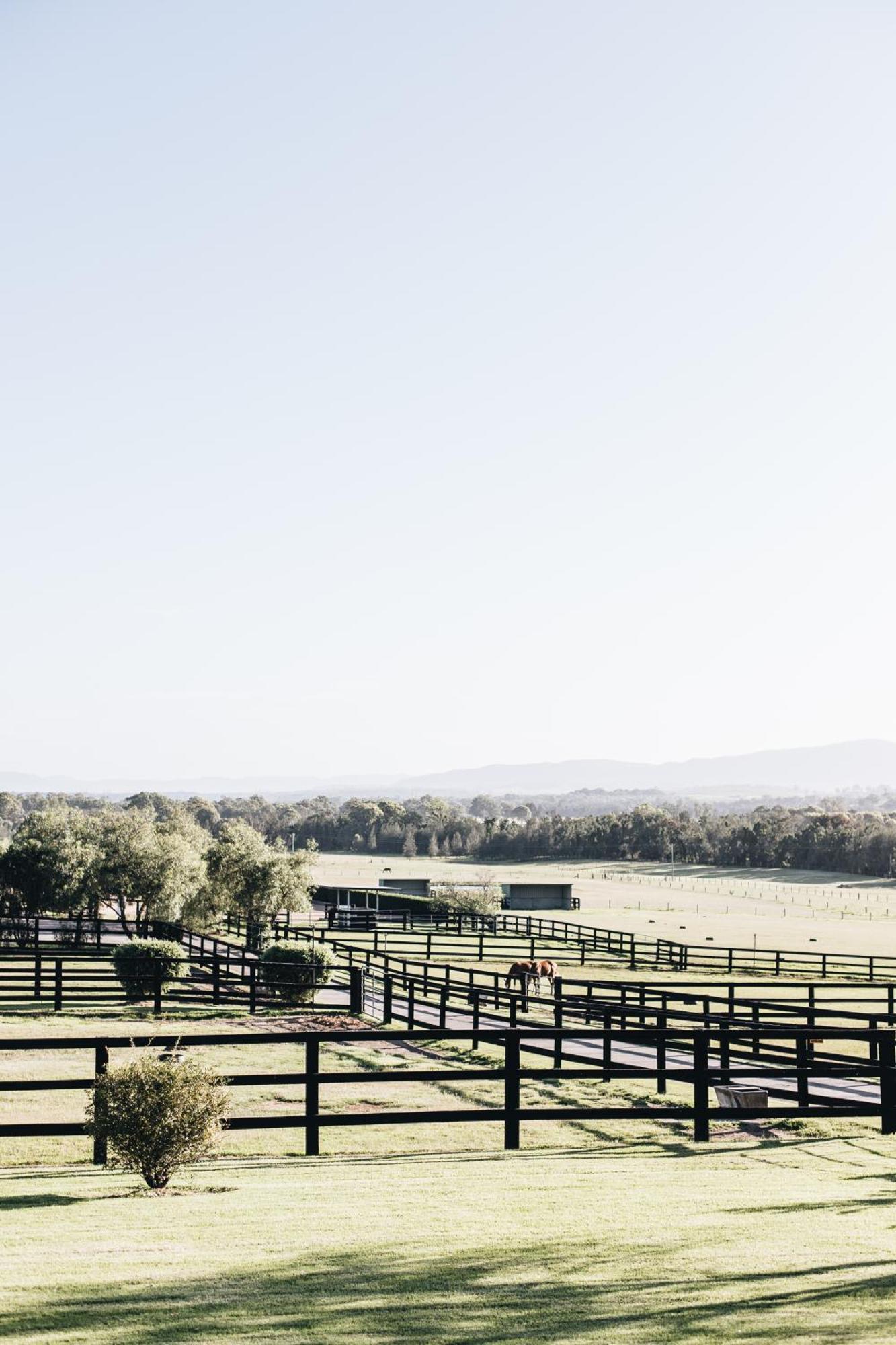 Argentille Boutique Accommodation Rothbury ภายนอก รูปภาพ